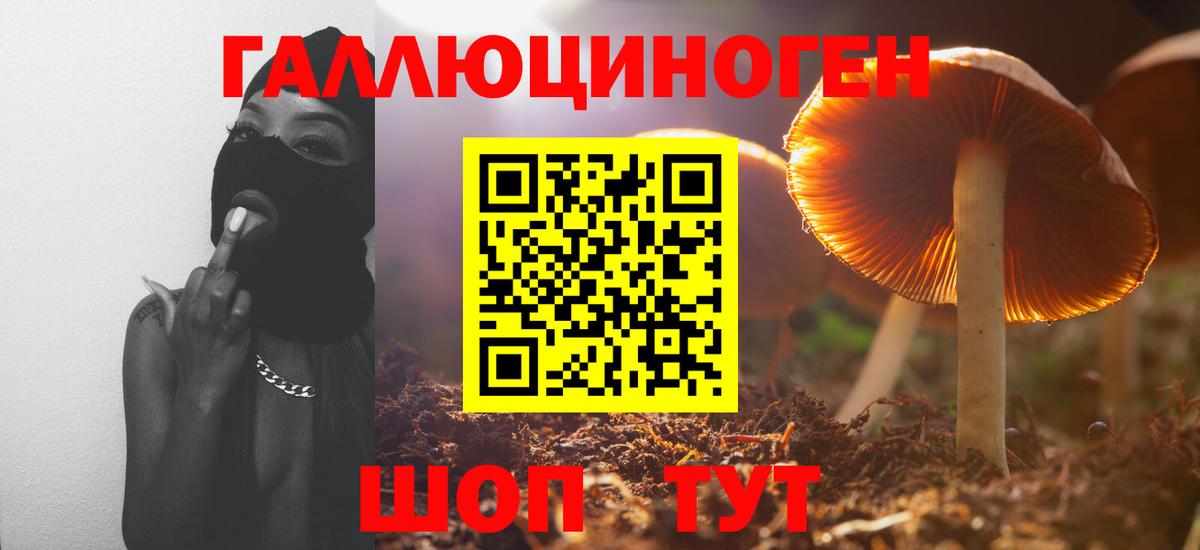 Тара  Псилоцибиновые грибы Magic Shrooms  Галлюциногенные грибы GOLDEN TEACHER  Вход с VPN 
